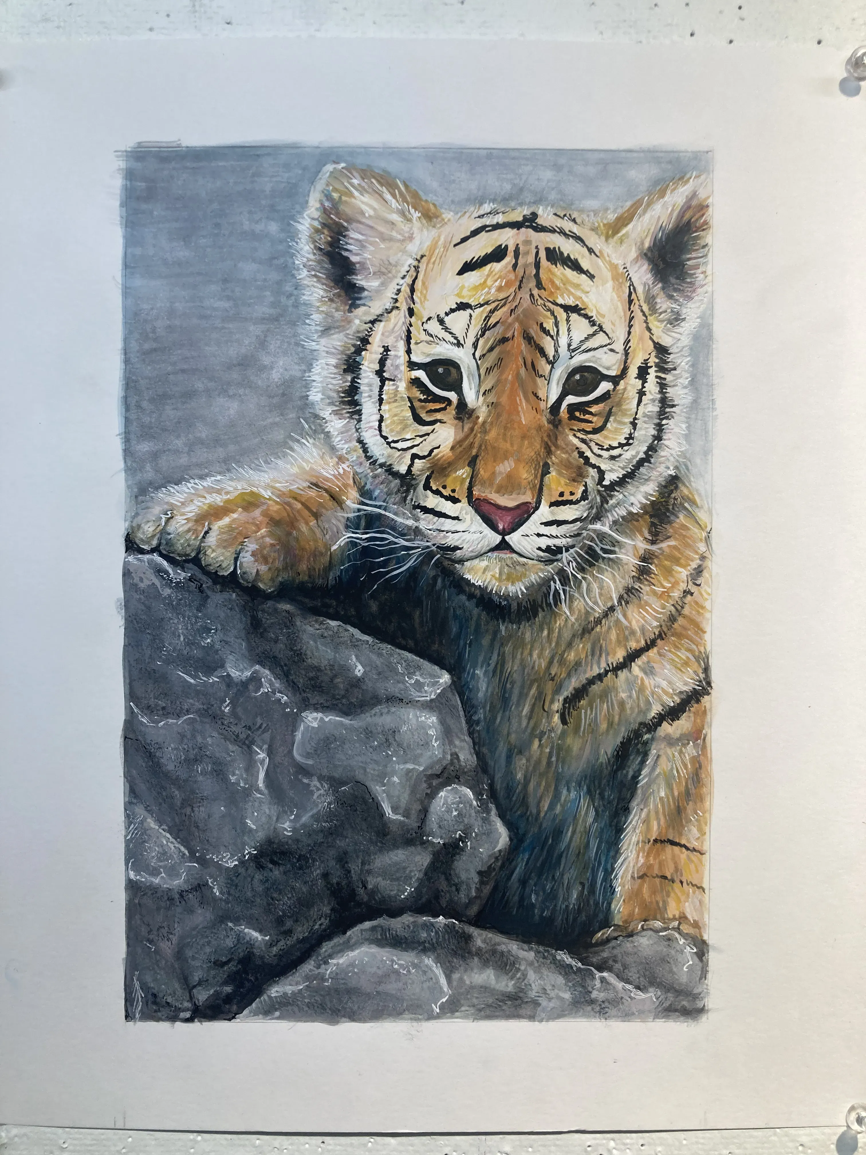 baby tiger-2022-goauche