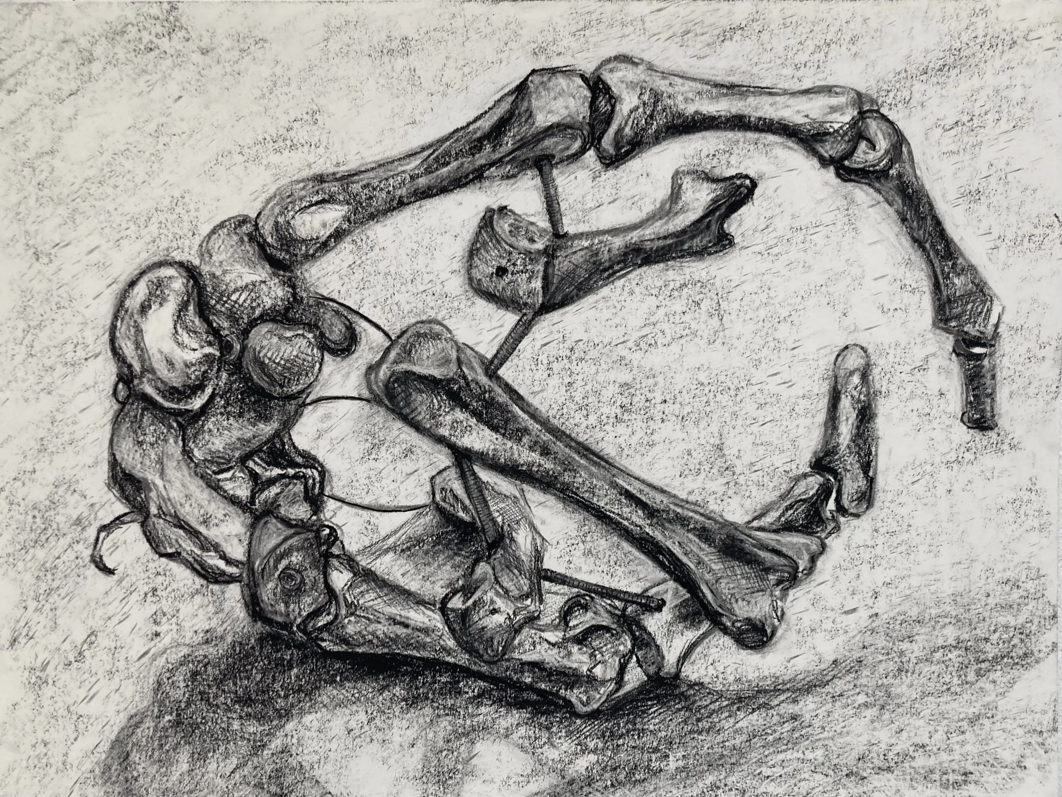 skeleton hand-2022-charcoal