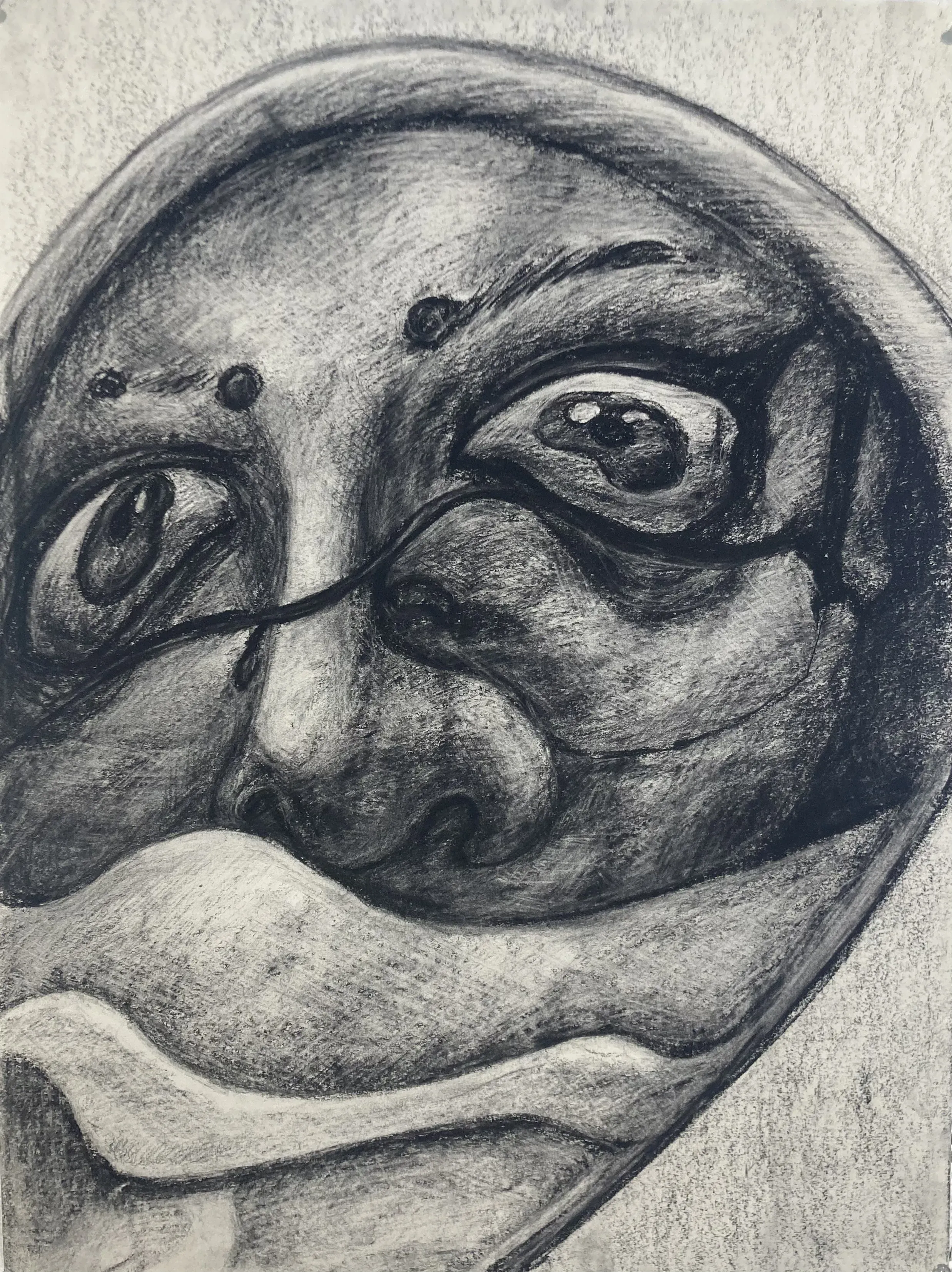 spoonface-2022-charcoal