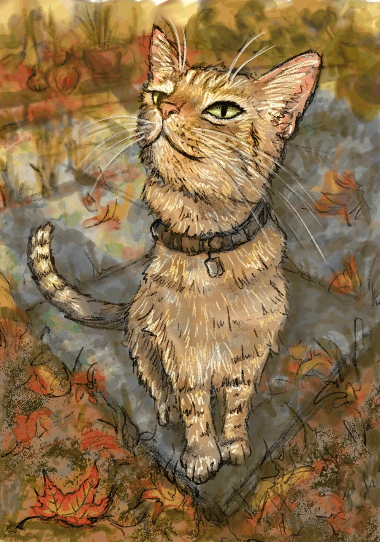sunny cat-2025-digital GIF